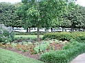 Washington DC [2009 July 03] 013